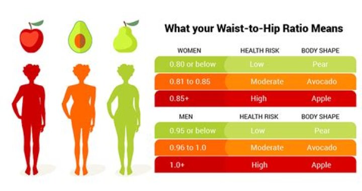 What is the ideal hip waist bust ratio?