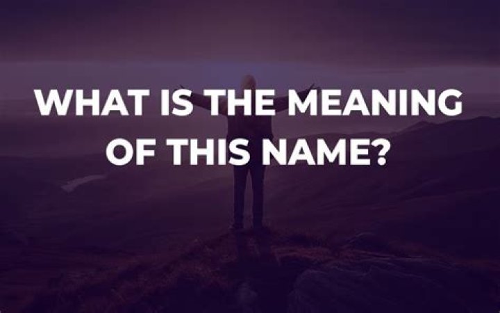 What is the meaning of translated customer name?