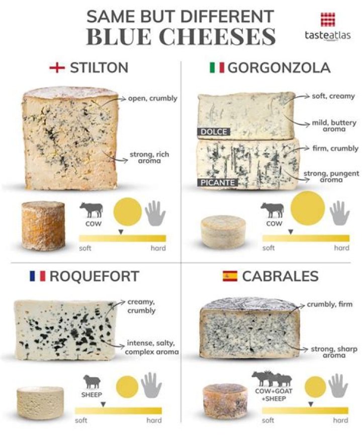 What is the name of the famous Italian blue cheese?