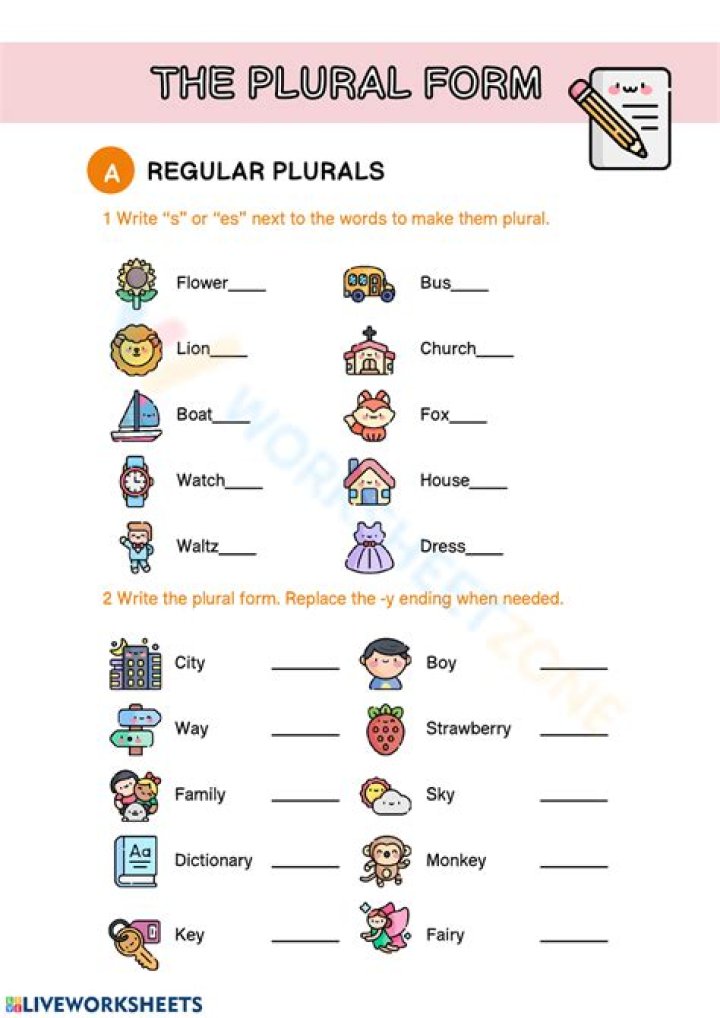 What is the plural form of iris?