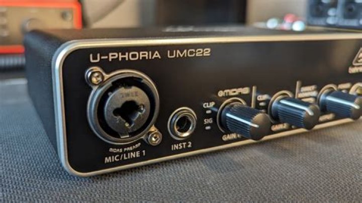 What kind of audio input does the umc22 have?