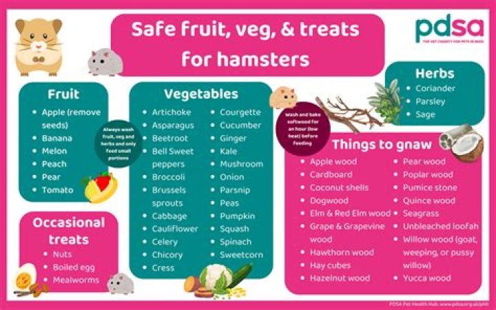 What kind of cheese is safe for hamsters?