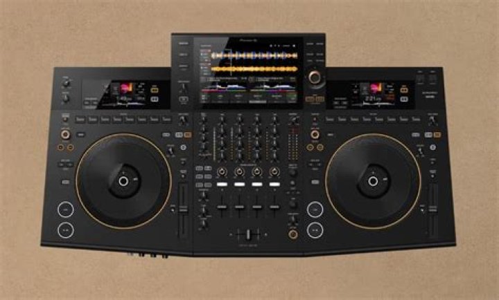 What kind of products does Pioneer Electronics make?
