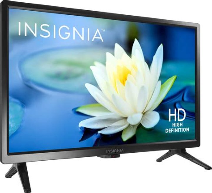 What kind of TV does insignia ns-19d310na21 have?