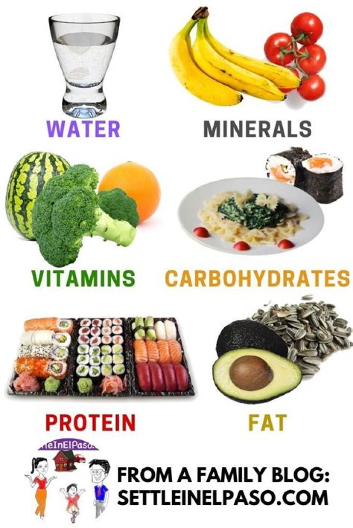 What nutrients are found in sandwich?