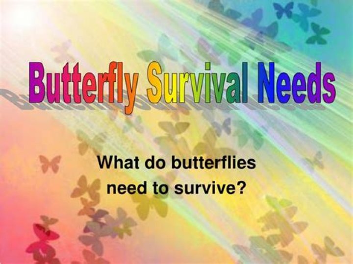 What plants do butterflies need to survive?