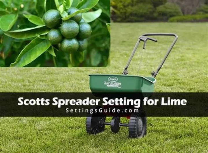 What setting should I use on Scotts spreader?