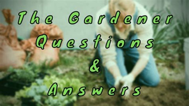 What should a gardener question?