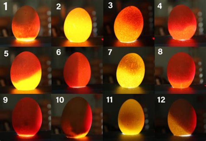 What should I look for when buying speakers?