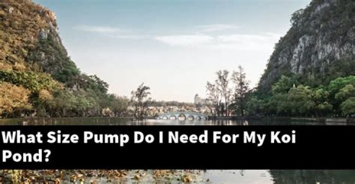 What size pump do I need for my koi pond?