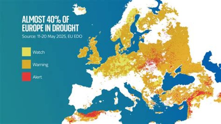 What to do if there is a drought in your area?