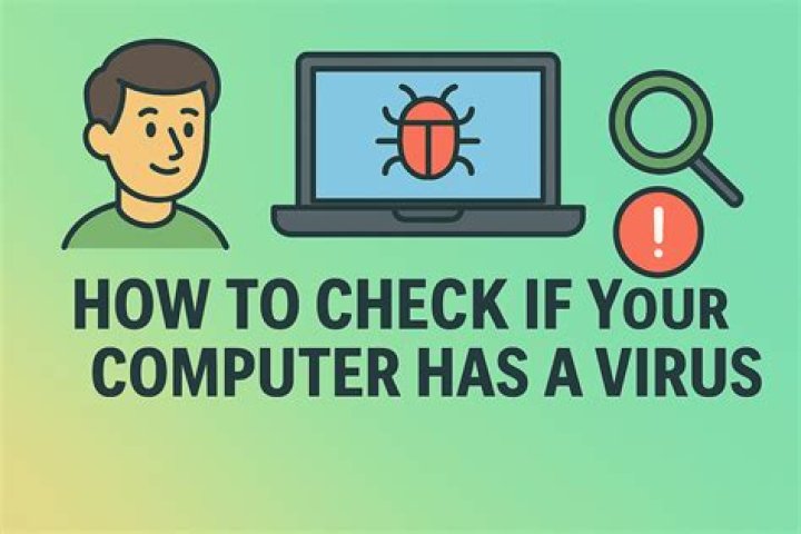 What to do if your computer has no signal?