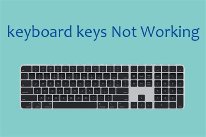 What to do when your on screen keyboard is not working?