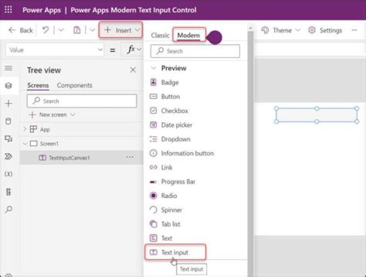 When is the incorrect time displayed in PowerApp?