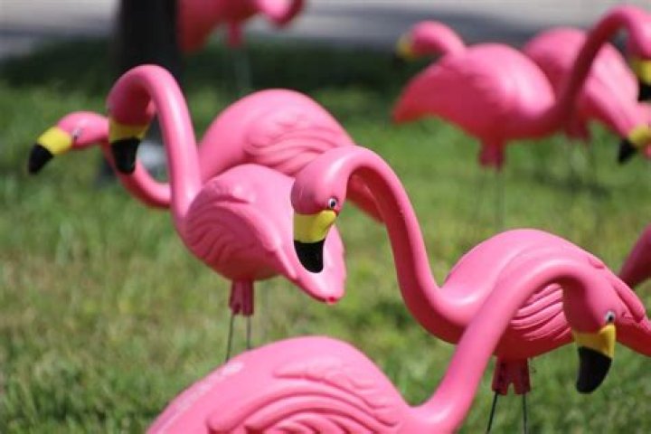 Where did pink flamingo lawn ornaments originate?