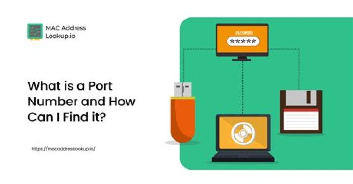 Where do I find the port number for my DVR?