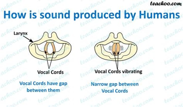 Where does sound come from when you have hoarseness?