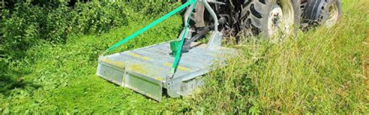 Where does the term cutting the grass come from?
