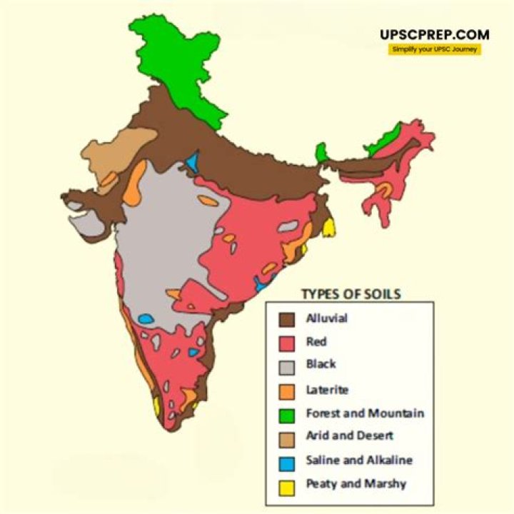 Where is alkaline soil found?