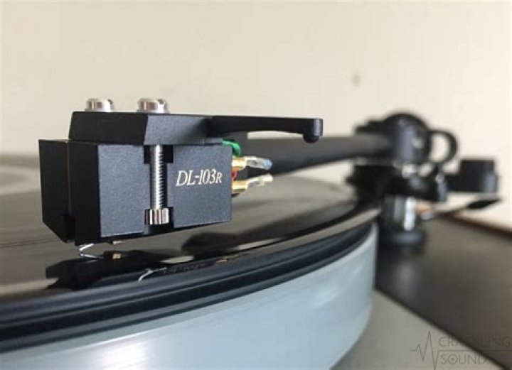 Which is better the shelter 501 or the Denon DL 103R?