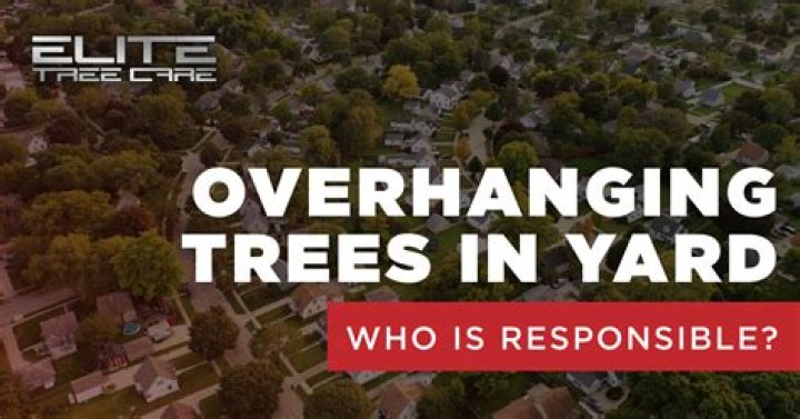 Who is responsible for overhanging trees?