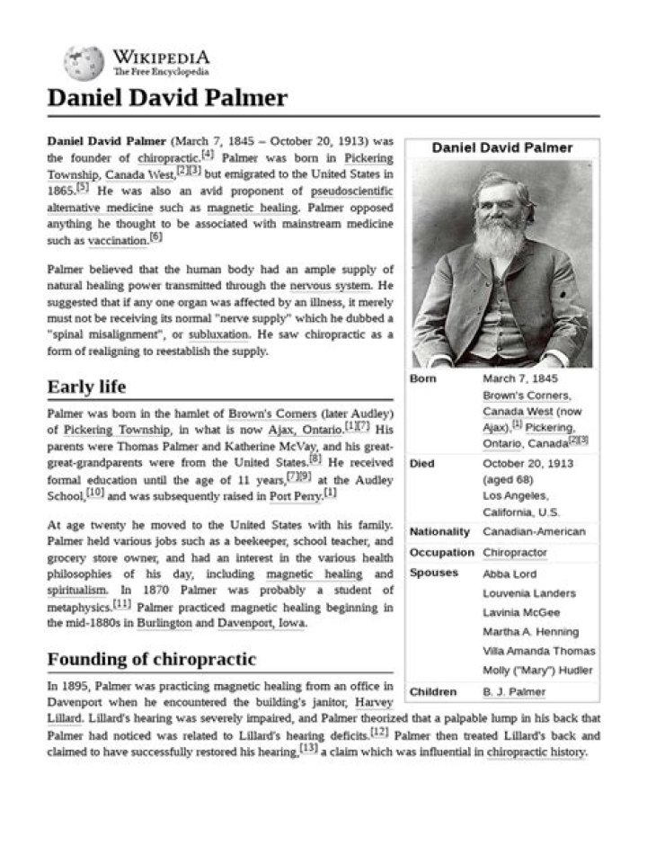 Who was Daniel David Palmer and what did he do?