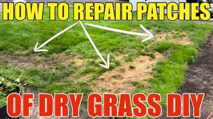 Why am I getting dry patches on my grass?