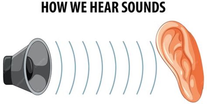 Why can I hear background sound but no dialogue or commentary?