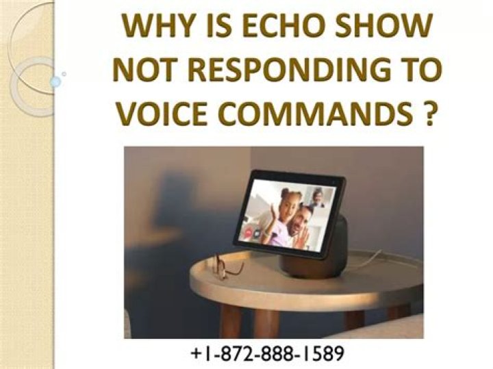 Why does my Echo show have no sound?