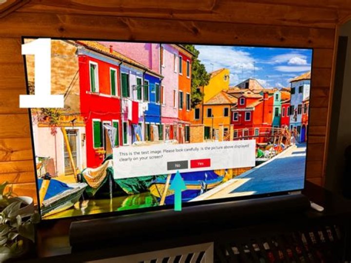 Why does my LG TV have a blue tint?