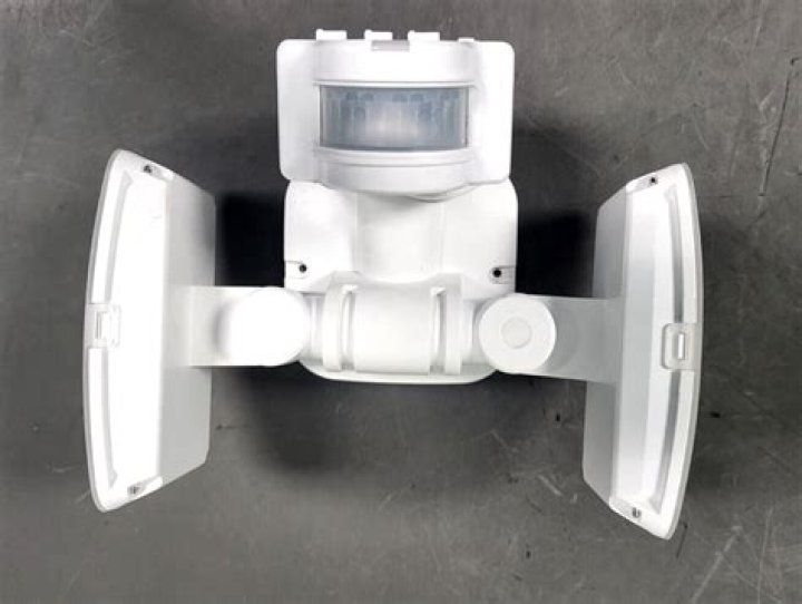 Why does my motion detector keep going off?