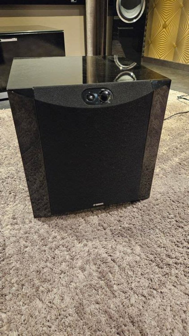 Why does my NS sw300 subwoofer keep rattling?
