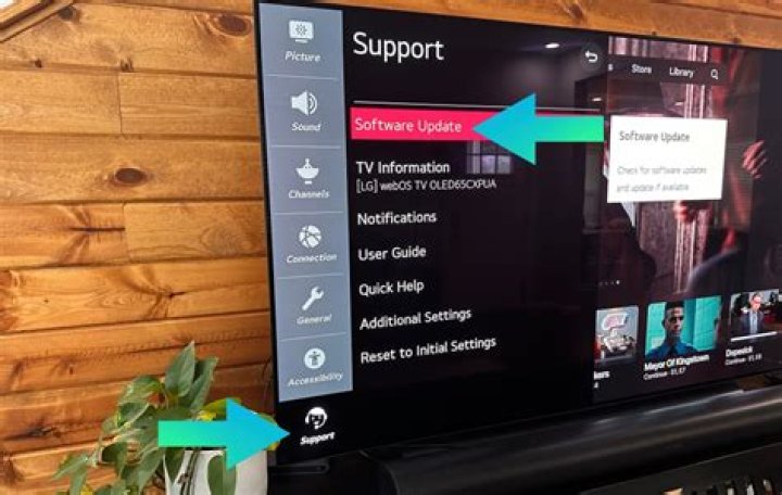 Why does my TV say no video?