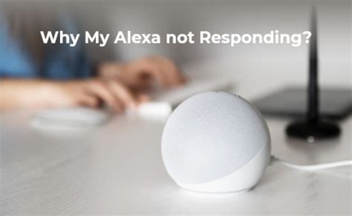 Why is my Alexa Plus not working?