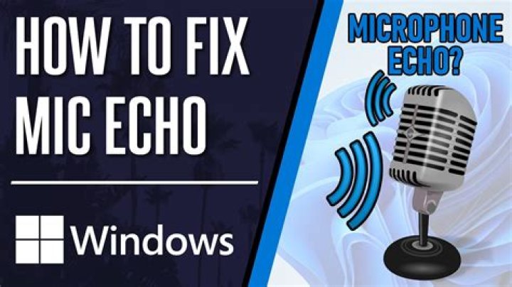 Why is my Echo Input not working?