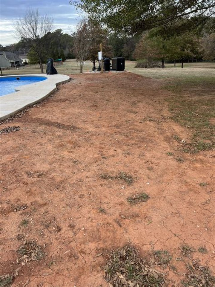 Will grass grow on red clay?