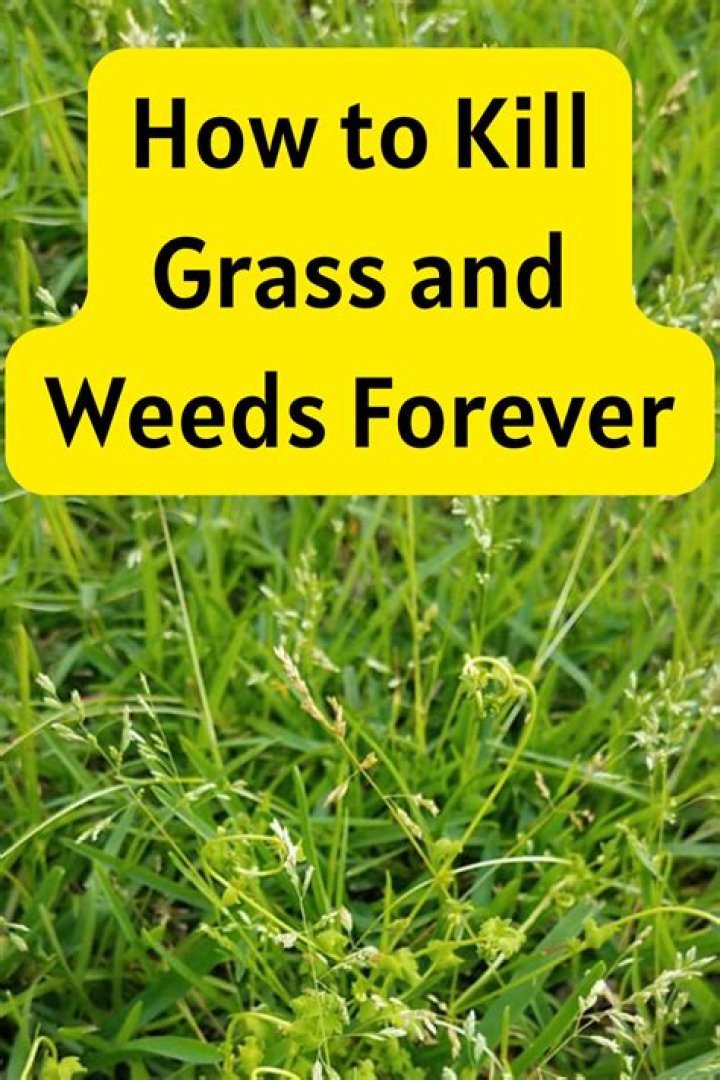 Will ice melts kill grass?