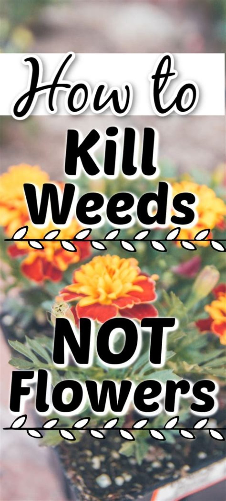 Would lime kill weeds?